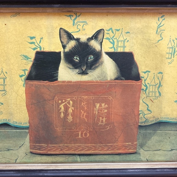 2 Miss Meka Cat Picture Paul Stagg The Bombay Company Stephanie Hoppen - Picture 3 of 16